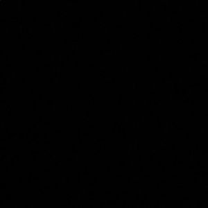 Meet your Posher, Toby